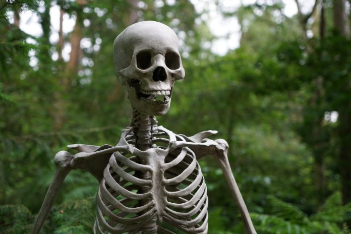 skeleton in front of greenery