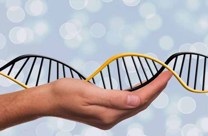 man holding a DNA strand in hand–symbolic