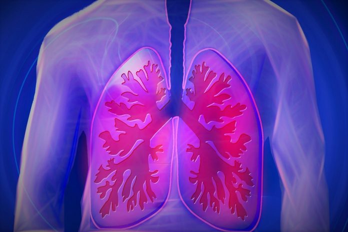 lungs inside a body illustration