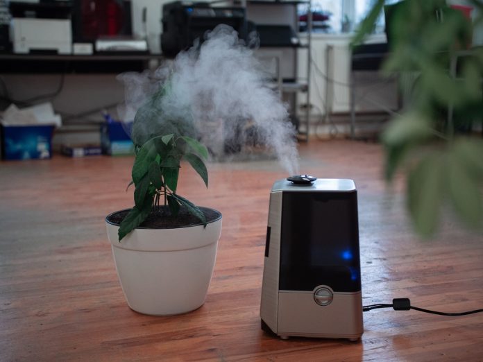 air purifier on the floor near a plant