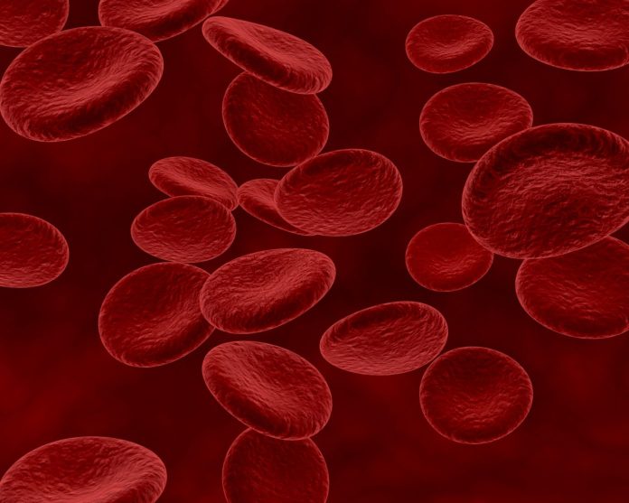 red-blood-cells