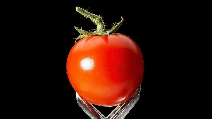 A tomato resting on two forks