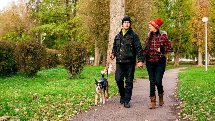 a young couple walking with a dog in garden